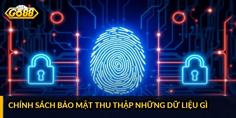 Chính sách bảo mật thu thập những dữ liệu gì