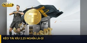 Kèo tài xỉu 2.25 nghĩa là gì