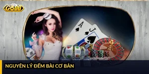 Nguyên lý đếm bài cơ bản